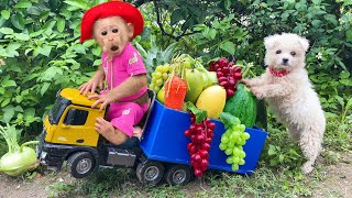 Bu Bu and Amee dog go to harvest fruit on the farm