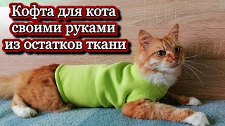 Кофта для кота своими руками из остатков ткани #животные #питомцы #рукоделие #творчество #хобби