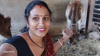 kalyani  vlogs is live