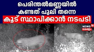 Malappuram പെരിന്തൽമണ്ണയിൽ കണ്ടത് പുലി തന്നെ; കൂട് സ്ഥാപിക്കാൻ നടപടി |Leopard Malappuram