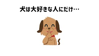 【 #犬の雑学 】愛情表現についてのトリビア #雑学