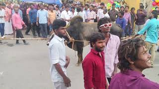 Dharmapuri jallikattu ( sv ) road tn 29 🐂🦬💪🔥🔥