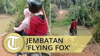 Viral Video Motor Seberangi Sungai Pakai Tali 'Flying Fox'