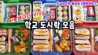 캐나다🍁브이로그ㅣ도시락 싸는 일상🍱ㅣ맥모닝 도시락ㅣ🛒로컬마트 장보기ㅣ🍿팝콘먹방ㅣ눈내리는 캐나다⛄️ㅣ제육김밥