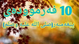 10 فەرموودەی پێغەمبەر(صلى الله عليه وصلم♥🌷)