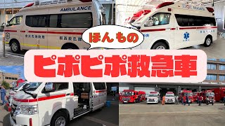 【はたらくくるま うた】ピポピポ救急車 本物の救急車、おもちゃの救急車が出てくるよ！