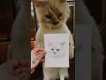 Drawing Jared Leto’s cat on the subway! *crazy reaction*