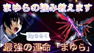 【EXVS2実況・解説】まゆら運命再び！運命使いが解説する全一運命の強さ！【エクバ２】【デスティニー】