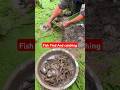 Fish find 🐟& catching moment😮 #fishcatching #fishingvideo #fishing