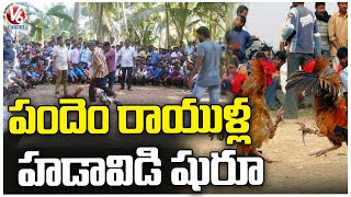 Sankranthi Festival 2022 : Special Training For Hens For Kodi Pandalu | AP | V6 News