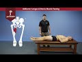 Adductor Longus & Brevis Muscle Test Palp Dr Vizniak Muscle Manual