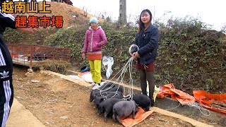 越南美食｜小粉姑娘帶大家了解越南農村年底的趕集市場。好熱鬧。