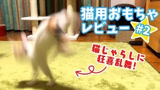 猫を狂喜乱舞させるお買い得猫じゃらし【猫用おもちゃレビュー#2】