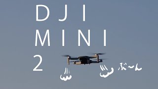 ＤＪＩ　ＭＩＮＩ２　飛行時間　距離　ビビりながら飛ばす