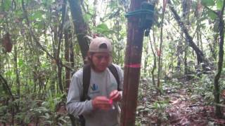 Monitoring and Analysis of the Acoustic Landscape (Soundscape) in the Amarakaeri Communal Reserve