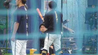 【プロ野球】2024.2.3　オリックス　春季キャンプ　『Aグループ　バッティング』