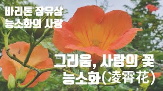 능소화의 사랑, 그리움 사랑의 꽃 능소화. 바리톤 장유상,