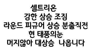 셀트리온 분출직전 . 현 싯점이 아주아주 중요한이유 . 터지고 나면 매수할 틈을주지읺고 올라간다. 중요한 재료 . 기술적 분석