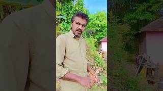 #shorts പണമില്ലാത്തവൻ ഈ ലോകത്ത് ആരും അല്ലാ#shortsviral #shortvideos #viral #youtubeshorts #trending