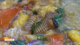 Insekten als Nahrungsmittel ORF Aktuell in Österreich