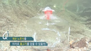 계란 노른자를 미끼로 통발 어항에 넣으면?? [천렵]