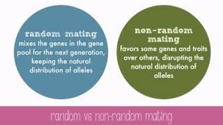 Disruption of Genetic Equilibrium