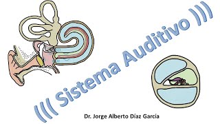 Sistema Auditivo resumen