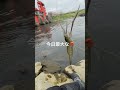 🦐🦐2024年4月6日🦐🦐 手長エビ 手長エビ釣り テナガエビ テナガエビ釣り