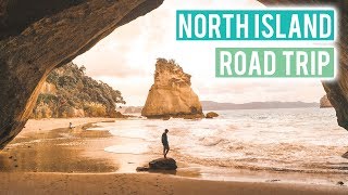 Most Beautiful Spot on the North Island | Hot Water Beach & Cathedral Cove | Wild Kiwi