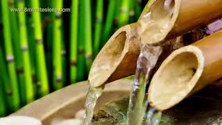 BAMBOO WATER FOUNTAIN - Relax & Get Your Zen On - White Noise