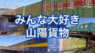 2022.3.15 みんな大好き山陽貨物　5052は海コン23個積載！！虹コンも！　被りあり、ブロックトレインあり、31f 級貨物ありの17本