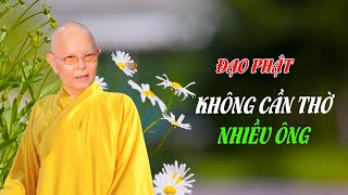 ĐẠO PHẬT KHÔNG CẦN THỜ NHIỀU ÔNG PHẬT - Hòa thượng TỪ THÔNG - HDTHTX - KỲ 46