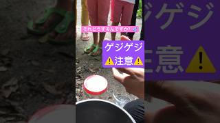 ゲジゲジ捕まえてたら子供達に絡まれた😂 #shorts  #虫