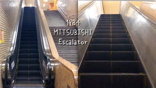 【レア 古い三菱エスカレーター】名古屋市営地下鉄鶴舞線 庄内緑地公園駅 1番ホーム MITSUBISHI Escalator Sudway Shonai Ryokuchi Koen