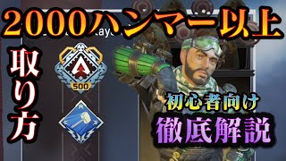 【APEX LEGENDS】初心者にも分かる2千ハンマーやそれ以上を狙うための基礎を徹底解説【立ち回り】#エーペックスレジェンズ #VTuber