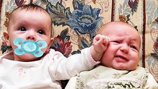 Funny Twins Baby Fight Over Pacifier - Laugh With Babies - Youtube