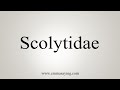 How To Say Scolytidae