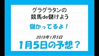 グラグラタンの競馬予想？！　１月５日（土）分