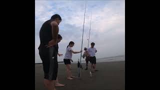 20230521出水沙灘 親子釣遊 一隻春子兩個人拉 #shorts #fishing #釣魚 #遠投 #灘釣