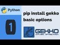 Install Python GEKKO and Change Options