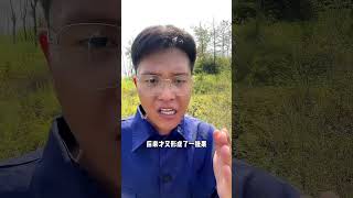 不要着急，麦茬花生收获如果叶片没问题，可以不用着急收获花生种植 花生收获 分享农业知识帮农民增产增收 新农人计划2024 头条双星激励计划