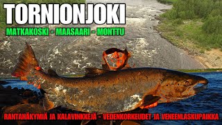 TORNIONJOKI - Matkakoski ja Maasaari Vinkit ja Näkymät ( +Vedenkorkeus ja Matkakosken veneenlasku )