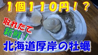 これぞ北海道④！謎のダンサーCMが話題！牡蠣の厚岸！なんと１個１１０円で新鮮な牡蠣を堪能できる！？