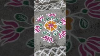 మా వాకిట్లో వేసిన తామర పువ్వుల ముగ్గు # daily rangoli designs