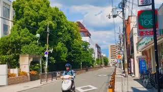 因为宫崎骏喜欢上日本❤️