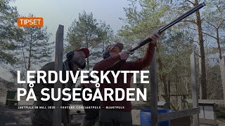 Lerduveskytte på susegården