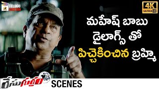 Mahesh Babu Movie Dialogues by Brahmanandam | Race Gurram Telugu Movie | Allu Arjun | Shruti Haasan