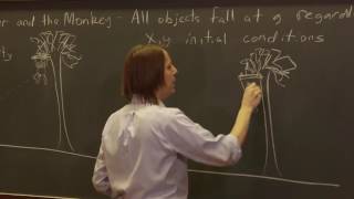 OpenStax AP Physics Chapter 3.4: Shoot the Monkey