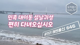 광안리 해변통신 646 - 민족 대이동 설날 귀성 편히 다녀오십시오