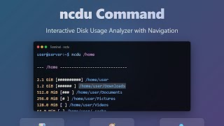 ncdu Command: Interactive Disk Usage Analysis for Linux Beginners